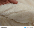 猫人兔毛绒毛毯冬季加厚仿皮草办公室冬天午睡毯法兰绒沙发毯被子单人 兔毛奶白【皮草级软糯手感】 180x200cm【双面毛绒软糯贴身】 实拍图