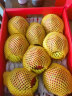 CAIFAN海南蜜宝 红心火龙果 金都一号单果约400~500g 新鲜当季水果礼盒 礼盒装  8斤 晒单实拍图