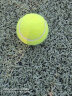 川崎（KAWASAKI) 比赛训练网球 3只装 KT-80 实拍图