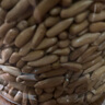 旭奇25年新货巴西松子原味薄壳手剥松子坚果休闲零食炒货干果批发 【全家桶】净含量500gx1大罐 实拍图
