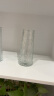 吕姆克花瓶玻璃花瓶摆件工艺品插花仿真干花富贵竹水养花瓶中号透明5043 实拍图