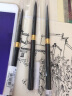 柏伦斯旅行装黑天鹅水彩笔黑杆圆松鼠毛画笔专业水彩颜料动物毛笔初学者绘画美术描边笔刷子 常用3支装（2# 6# 8#） 实拍图