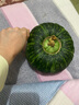 果沿子 新鲜板栗小南瓜 粉糯香甜新鲜蔬菜 4.2-5斤 实拍图