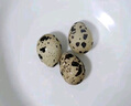 均鲜 新鲜生鹌鹑蛋 农家特产孕妇宝宝营养小零食可卤鹌鹑蛋 50枚 650g 左右鹌鹑蛋 实拍图