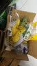 惠食一族广东湛江徐闻新鲜香水菠萝 4.5-5斤装菠萝当季水果脆甜可口  4.5-5斤普通装 实拍图
