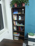 林之语实木书架落地置物架多层家用小型书柜收纳储物柜子客厅靠墙窄书柜 【层高30】松木六层60CM 实拍图