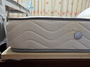 红苹果（RED APPLE） 家具弹簧床垫透气防螨抑菌双面升级加厚20cm家用护脊硬垫M603 5环整网弹簧款厚20cm 中硬护脊 1.5*1.9m 实拍图
