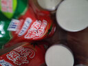 水妈妈西米泰国进口西米露水晶粽子奶茶甜点原料 【泰国进口】大西米500g*1袋 实拍图