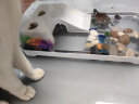 阔庭乌龟缸桌面透明生态乌龟缸乌客厅水族箱白色 晒单实拍图