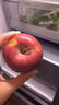 源外甘肃花牛果苹果 天水红蛇苹果当季新鲜粉糯宝宝刮泥面水果生鲜 净重4.5-5斤小果 实拍图