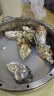 贝司令【鲜活】乳山生蚝海鲜特产贝类牡蛎烧烤XL 净重4斤 16-22只礼盒装 实拍图