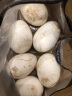 百世富泽（BAISHIFUZE）【百世富泽】黄河滩大鹅蛋新鲜正宗土鹅蛋农家自养孕妇超大鹅蛋 6枚115-130克 实拍图