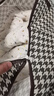 洁百纳衣服收纳袋家用衣柜大容量装被子衣物打包整理袋大号储物搬家神器 110#大号【加固手提/防尘防潮】 实拍图