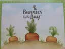 海湾兔Bunnies 小羊公仔毛绒玩具生日礼物女生可爱安抚娃娃玩偶披风服饰 【824526】侦探披风套装 含玩偶 (新配色) 17cm【可代写贺卡】 实拍图