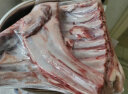鲜京采新西兰进口原切羊排肉卷350g/袋 羊肉片生鲜 涮肉火锅食材 实拍图