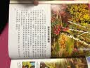 读名著·学科学·西顿动物：王者传说（美图版） 实拍图