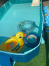 西哈泳士免充气折叠儿童游泳池家用室外小孩婴儿游泳桶成人大型户外支架 4米【入门套餐】免充气泳池 实拍图