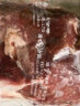 福华 河北大厂牛腱子 清真牛肉 国产牛肉 谷饲排酸  整肉原切 2.5kg/袋 实拍图