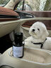 S.CHUANG车载香薰香水专用奔驰宝马保时捷理想奥迪比亚迪车内香氛高级淡香 车载香薰喷雾【白茶】 实拍图