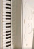 奥智嘉电子琴儿童钢琴玩具女孩六一儿童节生日礼物3-6岁早教音乐器带话筒 晒单实拍图