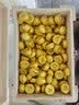香醇贵府1200克 约230颗 糯米香普洱茶熟茶熟普洱沱茶 香醇贵府 实拍图