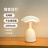 爱耐特小夜灯婴儿喂奶灯充电台式遥控睡眠灯led夜光灯卧室起夜灯床头灯 充电款-2000mAH 实拍图
