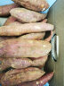 福建六鳌红薯  地瓜  净重1.5kg 单果重量50g-150g  新鲜蔬菜健康轻食 实拍图