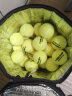 尤尼克斯（YONEX） 尤尼克斯网球高级训练网球比赛球yy网球traning高弹耐磨60粒袋装/桶装 TB-T60CR 10个 晒单实拍图