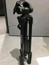 伟峰 WF-3302 摄像机三脚架 阻尼云台尼康佳能微单反相机DV摄影 便携三角架直播户外铝合金落地支架 实拍图