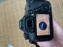 佳能/Canon 60D 70D 80D 77D 90D 二手单反相机 半画幅中端级数码相机 80D+50/1.8 STM小痰盂 套机 95新 实拍图