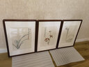 澜鹰  新中式客厅装饰画张大千三联挂画卧室沙发背景墙壁画郎世宁国画 张大千兰花三联 50*70cm 实拍图