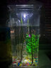 森森 鱼缸水族箱创意生态金鱼缸塑料亚克力小型迷你缸懒人桌面鱼缸 懒人方形鱼缸10.5*11*25.5cm 实拍图