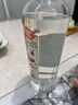 亚里奇小鸟伏特加56度 俄罗斯国家馆原装进口vodka洋酒烈酒基酒白酒 蜂蜜味40度 500mL 单瓶 实拍图