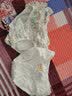 童泰（TONGTAI）女宝宝内裤棉氨透气网眼女孩双层抗菌平角裤女童三角短裤2条 均色 2条 110 cm 实拍图