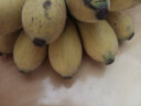 帆儿庄园新鲜广西小香蕉水果小米蕉蕉新鲜水果整箱当季鲜苹果蕉自然熟粉蕉 1.5kg 晒单实拍图