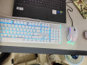 牧马人 K100拼色机械键盘鼠标套装电竞吃鸡游戏三件套笔记本台式电脑有线外接键鼠套装外设 象牙白-青轴+M5游戏鼠标 晒单实拍图