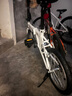 大行（DAHON）顺丰发货折叠自行车16寸通勤单车男女休闲骑行折叠车KT610 白色 实拍图