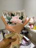 初朵3朵玫瑰花康乃馨花束鲜香皂花同城配送母亲节护士节礼物520情人节 实拍图