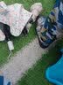 IQGD运动鞋垫男软弹减震军训久站足弓支撑6622 1双装蓝色 35-36  实拍图