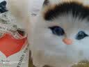元氣小猴 仿真动物模型小猫咪儿童动物毛绒玩具会叫的猫玩偶仿真猫咪公仔圣诞节 真毛黑耳-礼盒礼袋+灯+发卡+铃铛 实拍图