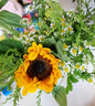 悦多彩优质水养鲜切花 母亲节三八节花束 昆明基地现采直发顺丰生活鲜花 洋桔梗6-8支+康乃馨10支 实拍图
