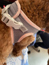 吉姆贝贝狗绳狗狗牵引绳小型犬背心式胸背带小狗遛狗链子幼犬宠物用品 [冰桃粉]+3m自动伸缩牵引绳 M-建议8-12斤 可调节胸背46-50cm 实拍图