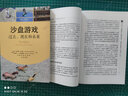 沙盘游戏：过去、现在和未来/心灵花园·沙盘游戏与艺术心理治疗丛书 实拍图