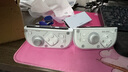 aolion澳加狮j20骑士Switch手柄joy-con手柄DW12D适用Switch主机Joy-Con左右手柄充电握把 手柄+收纳盒+充电握把（标准版）+接收器 澳加狮 实拍图