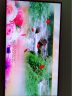 三星（SAMSUNG） 4K高清显示器43英寸广告机壁挂显示屏横竖分屏多媒体大屏幕展厅网络宣传大屏 QM43C 升级版43英寸 晒单实拍图