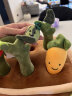 imomoto拔萝卜玩具婴儿早教益趣0-6个月1-2岁宝宝可啃咬玩具周岁生日礼物 果蔬农田拔萝卜玩具-礼袋 晒单实拍图