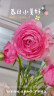 【基地直发】FlowerPlus花加优选水养鲜切花瓶插花桌面装饰清新礼物速递花束（下单后7天内发货） 随机色玫瑰10枝 预售 实拍图