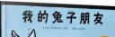 我的兔子朋友  凯迪克大奖绘本 经典畅销绘本 2003年凯迪克金奖3-6岁（启发出品） 实拍图