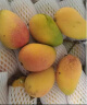 京鲜生 海南大台农芒果 1.5kg装 单果150g以上 新鲜水果 实拍图