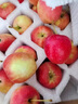 菓灵稥【现货】东北鸡心果小苹果锦绣海棠果沙果新鲜水果甜脆 5斤中果 试吃尝鲜装 商超品质 实拍图